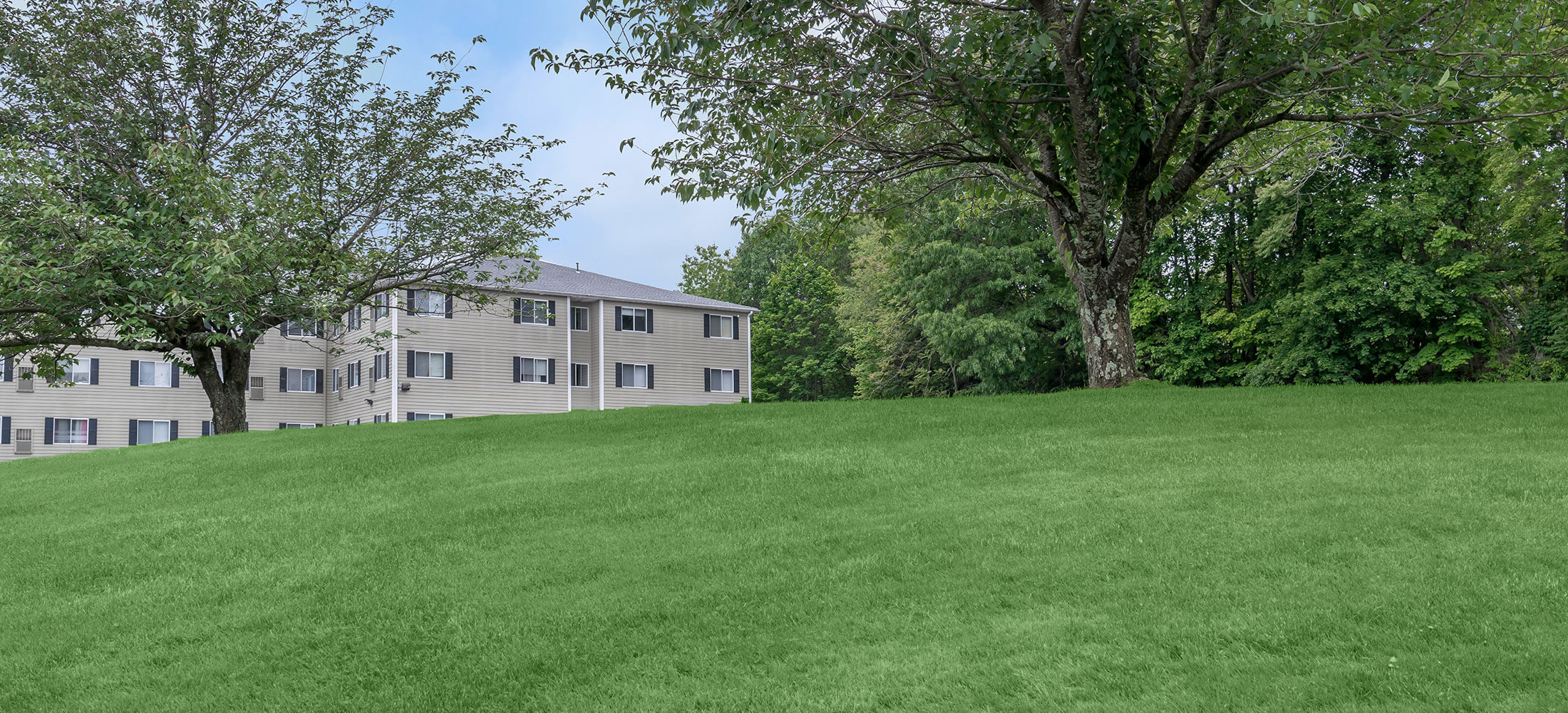 Bunker Hill Apartments Waterbury Ct Bunker Hill Apartments Waterbury Ct